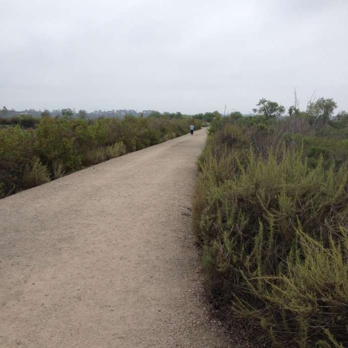 Near North Loop Trail