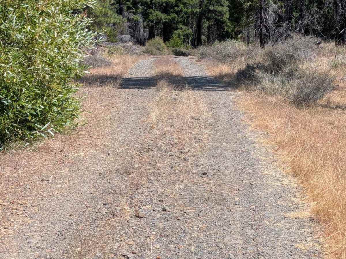 Seven Up Cedars Road - FS 29N59 photo 6
