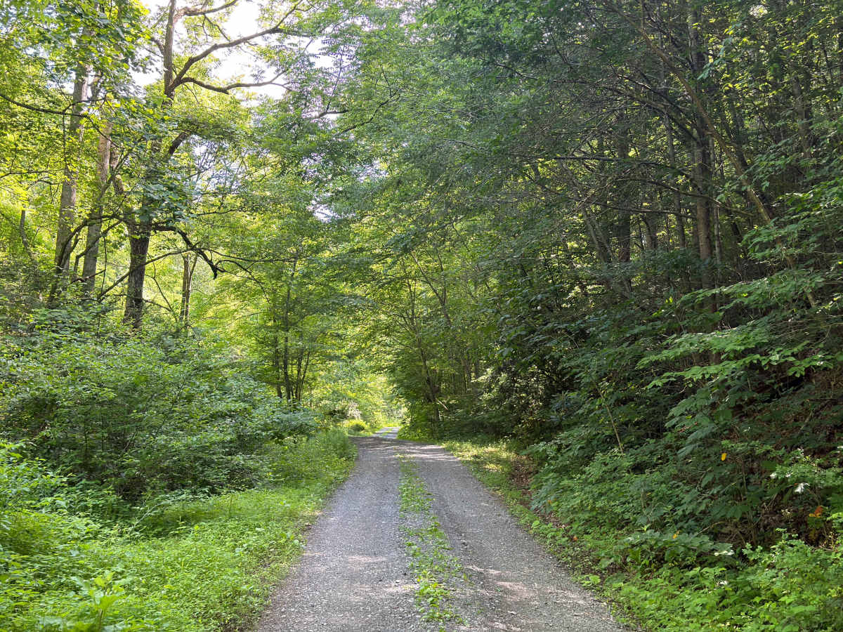 Baker Branch - FS 614 photo 3