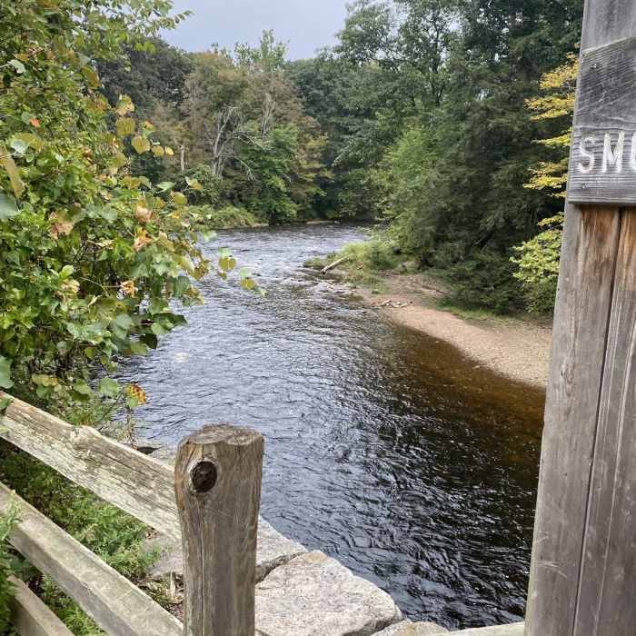 Near Salmon River Trail (Blue Trail)