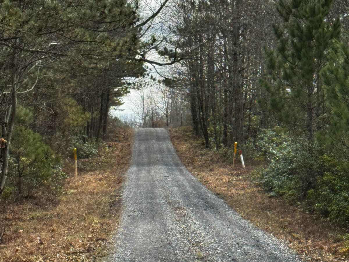 Swamp Branch Road photo 4