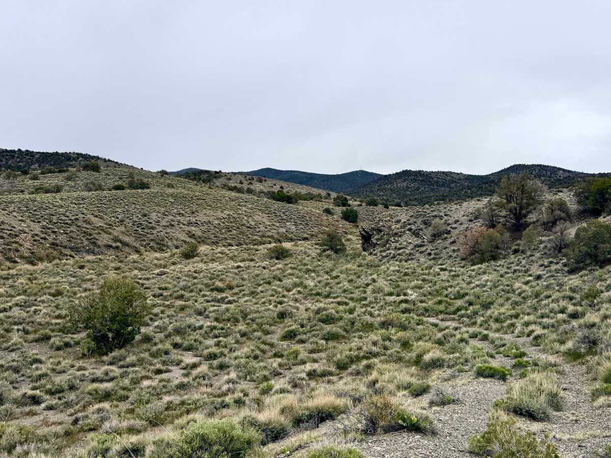 Timber Hill West - FS 24212 photo 3