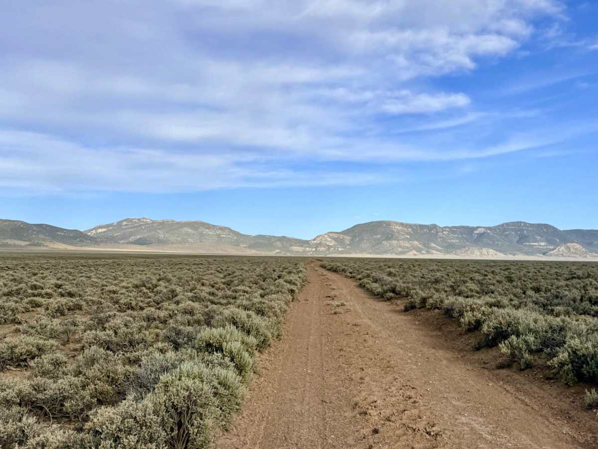 Grimes Ranch Road South photo 4
