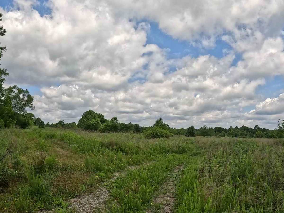Q52A trail photo