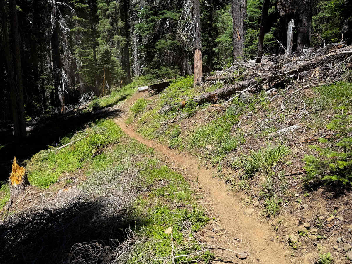 Shoestring Lake - FS 1385 photo 4