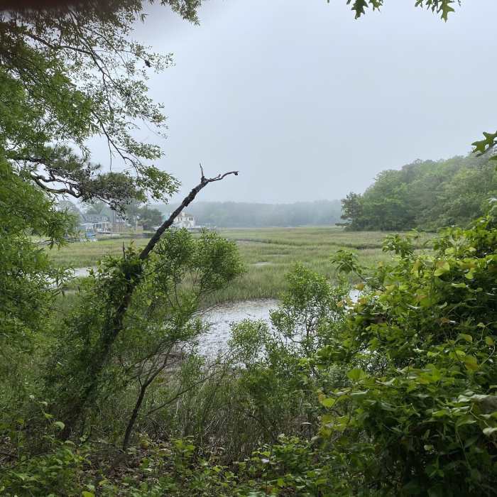 View from point overlook. Near Point Overlook Loop