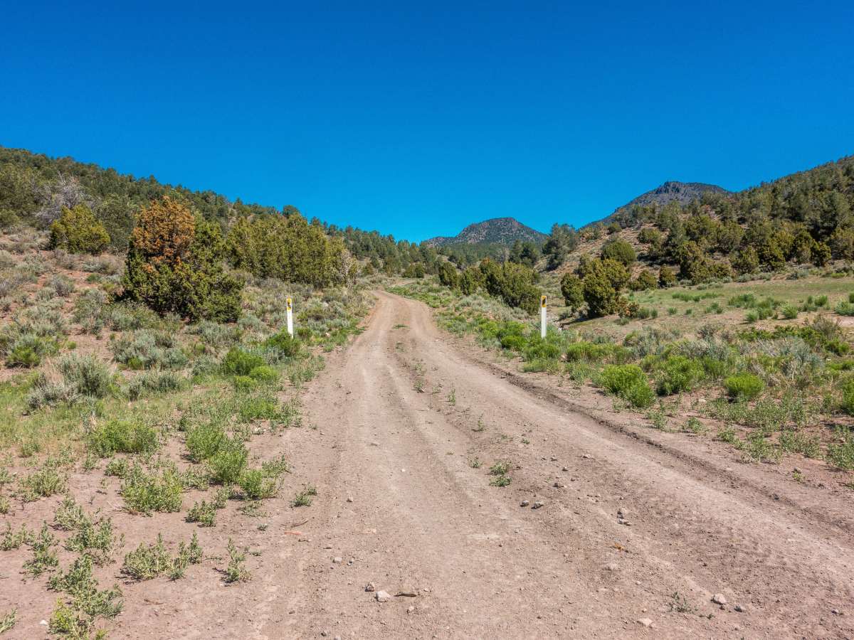 White River to Hamilton trail photo