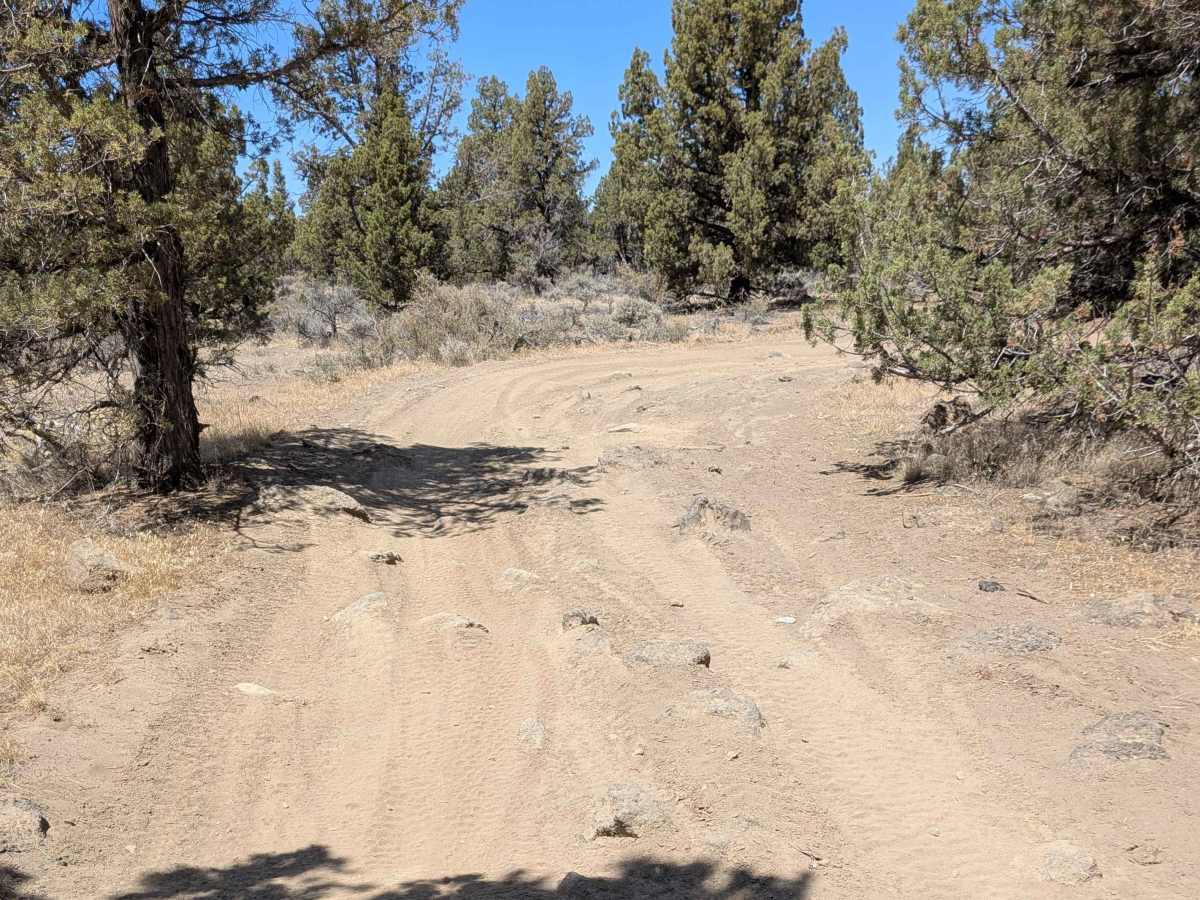 Cline Buttes OHV Trail 27 North photo 2