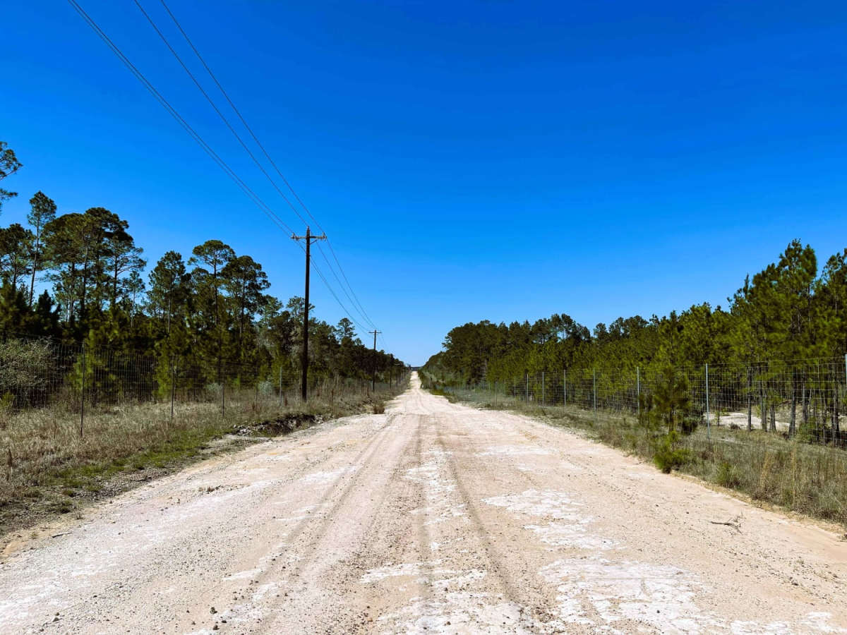 Graham Road trail photo