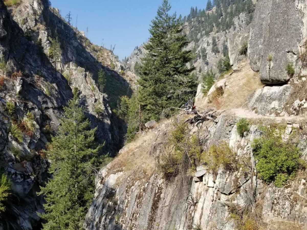 South Fork of the Salmon River Trail photo 6