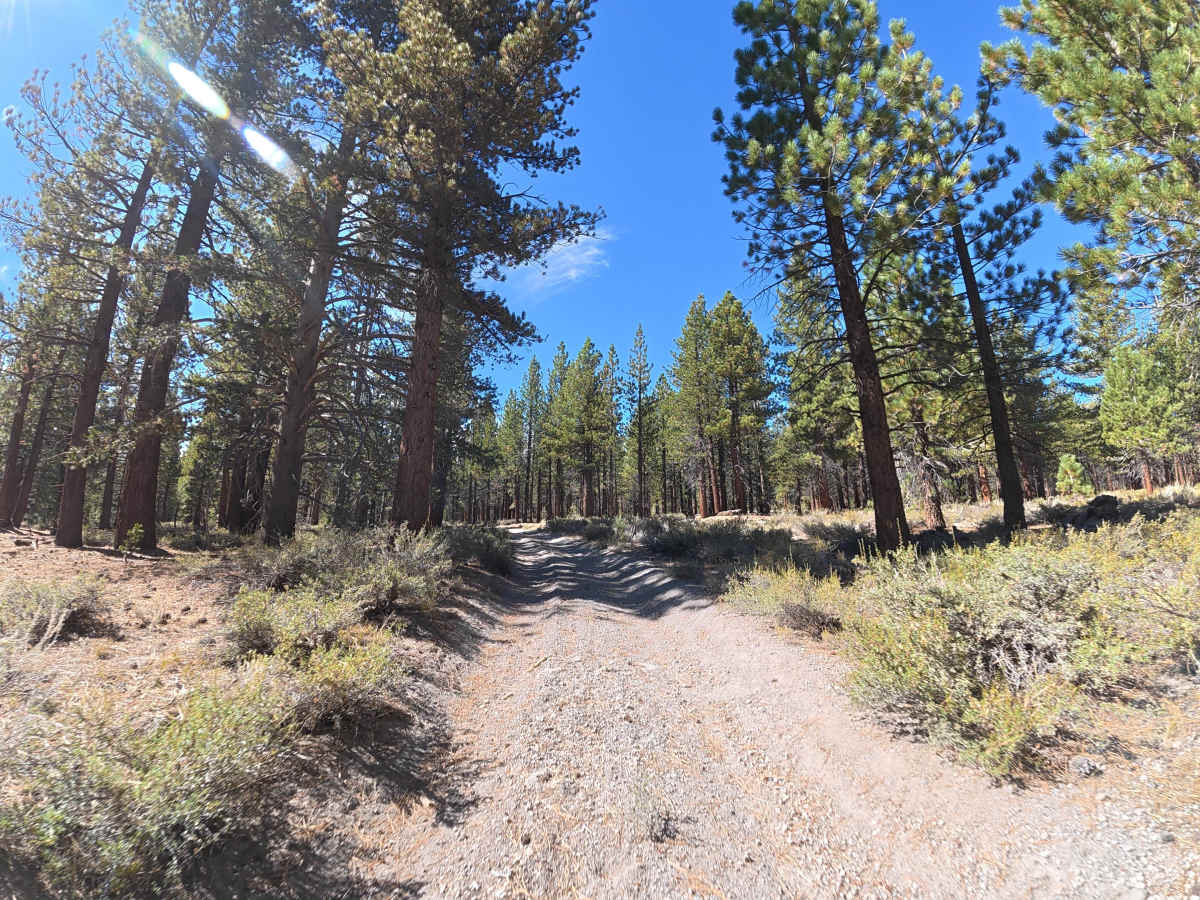 FS 2S115 trail photo