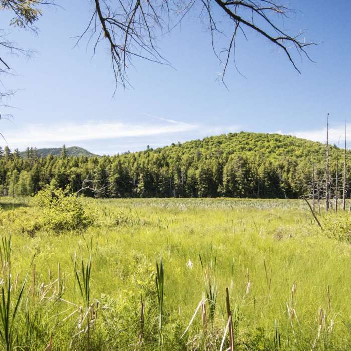 Near Pharoah Mountain