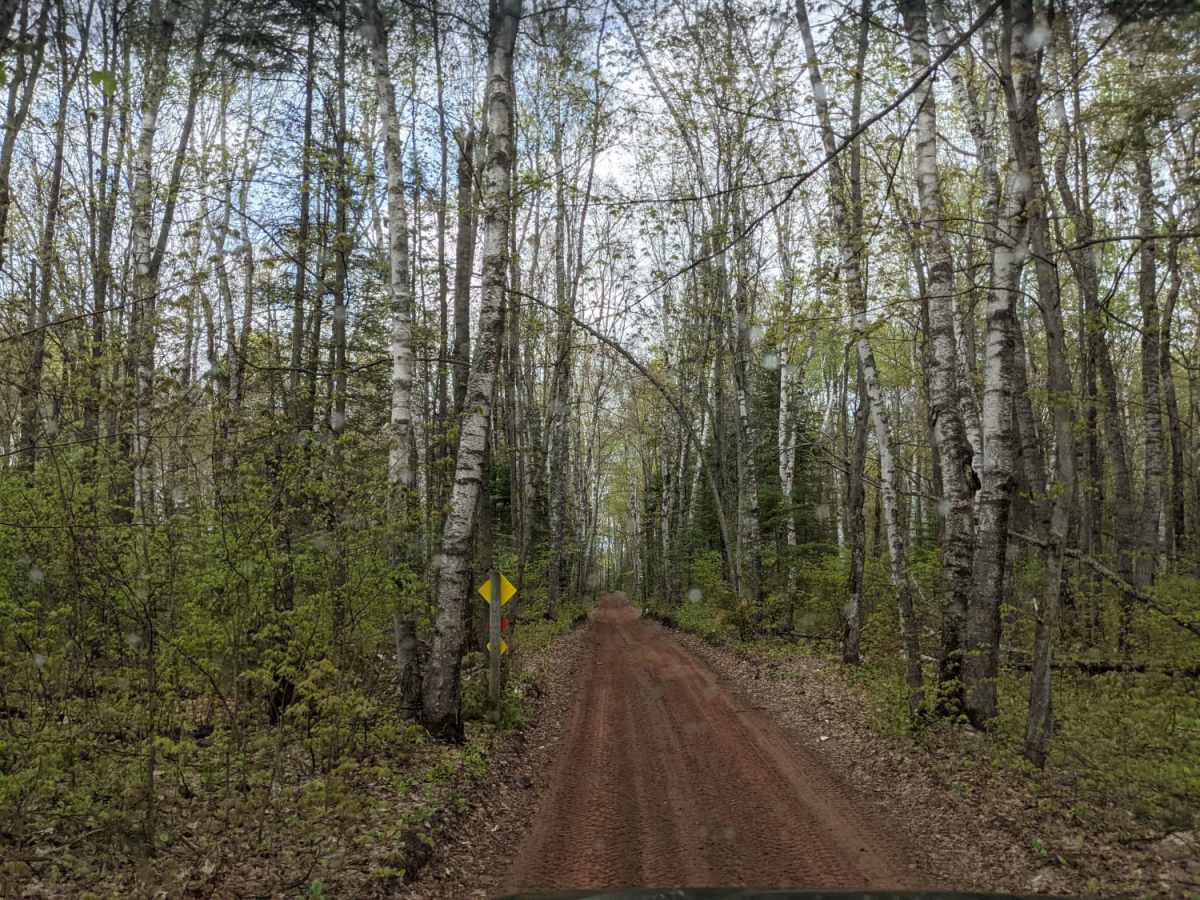 Park Forest, Potlatch, and Hilton Trails trail photo