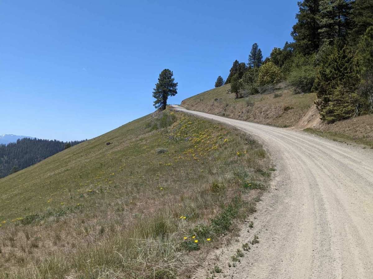 Anderson Butte Road photo 2