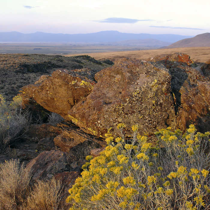 Near Modoc Line Rail Trail - Viewland Segment