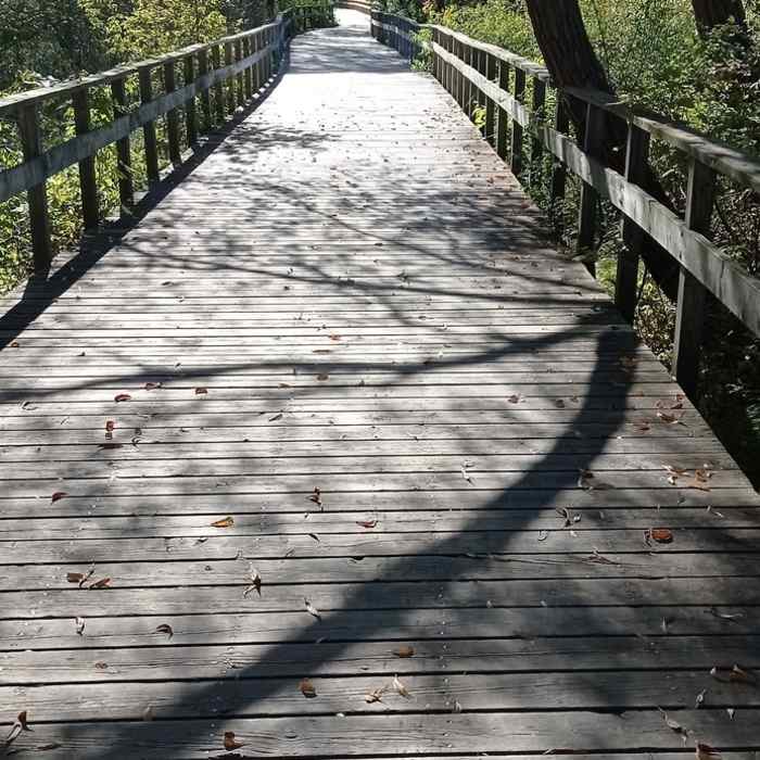 Near Georgian Trail