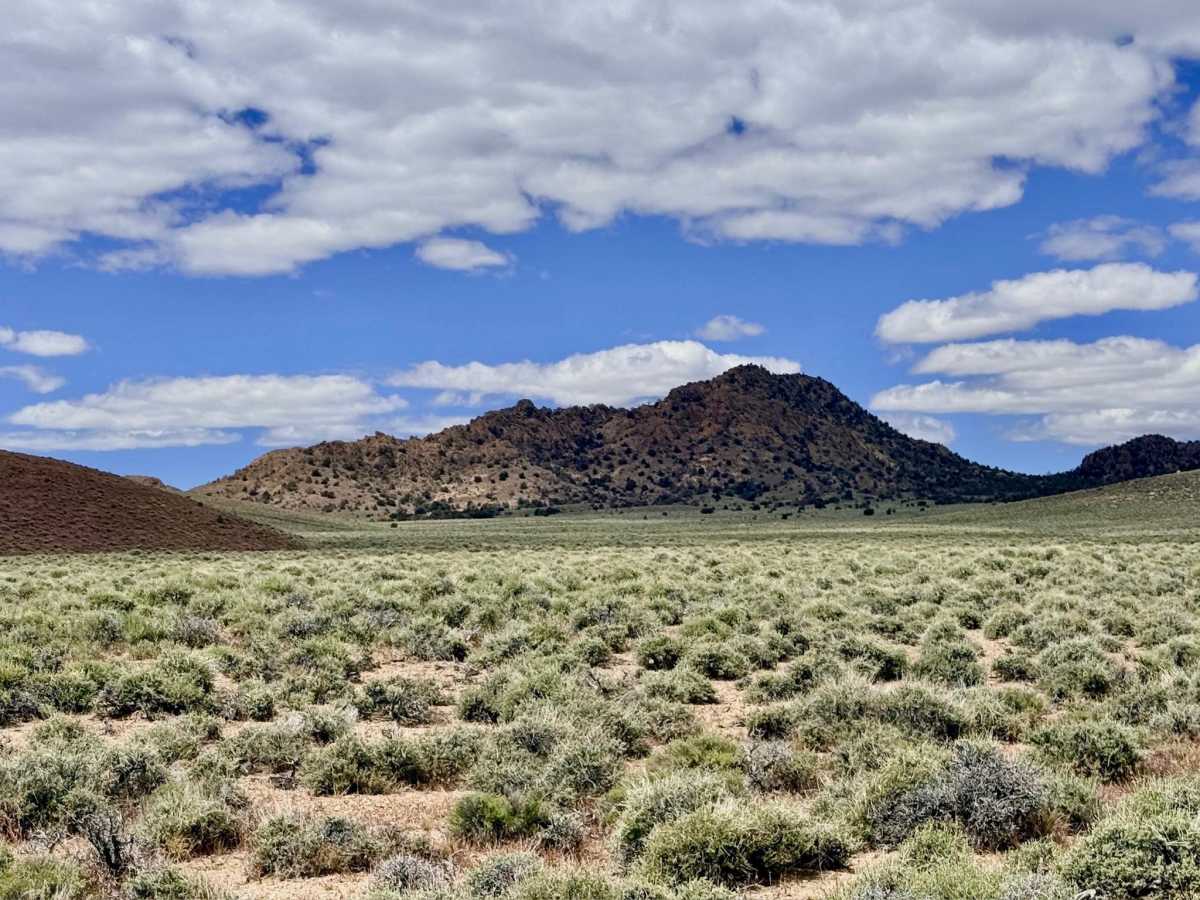  Georges Canyon - FS 44409 photo 3