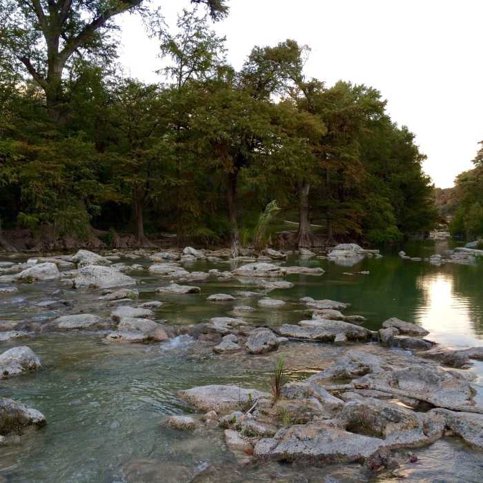 Near Bald Cypress Trail