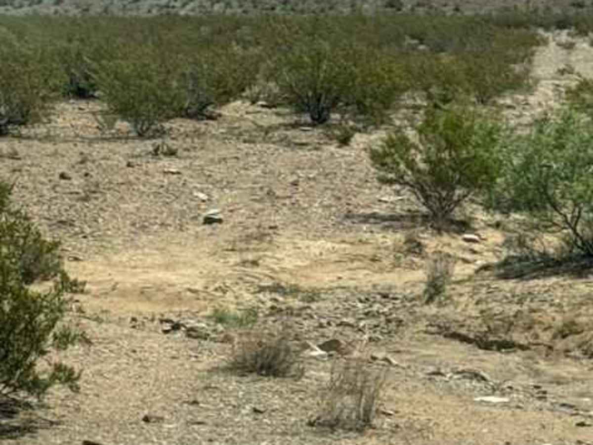 BLM SS1043 trail photo