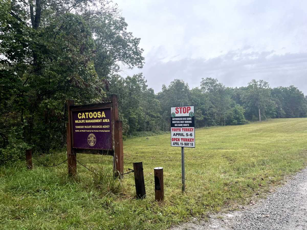 Otter Creek Road  photo 2