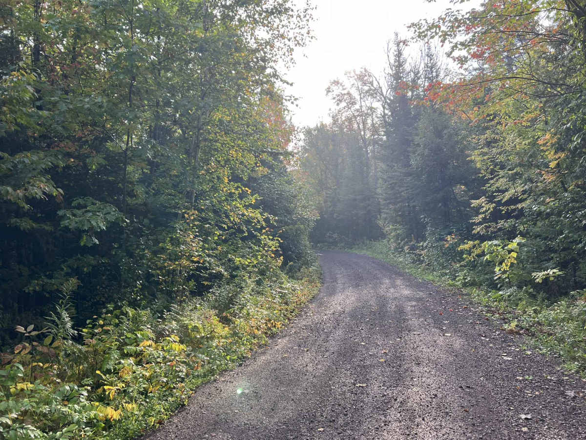 Trail P - FDR 655 photo 2