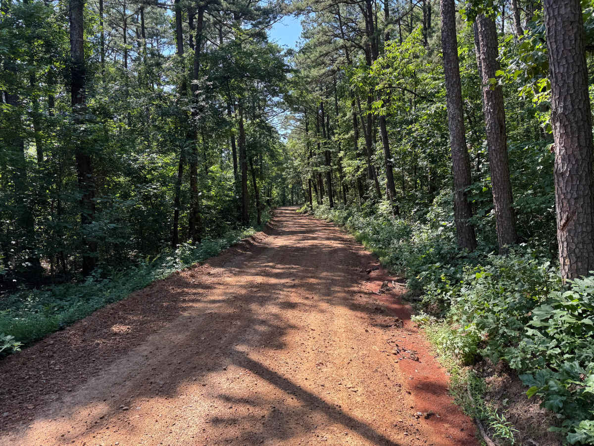 County Road 4015 photo 3