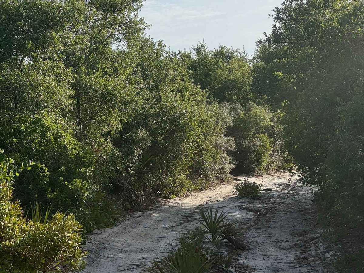 Sand Maze Trail photo 5