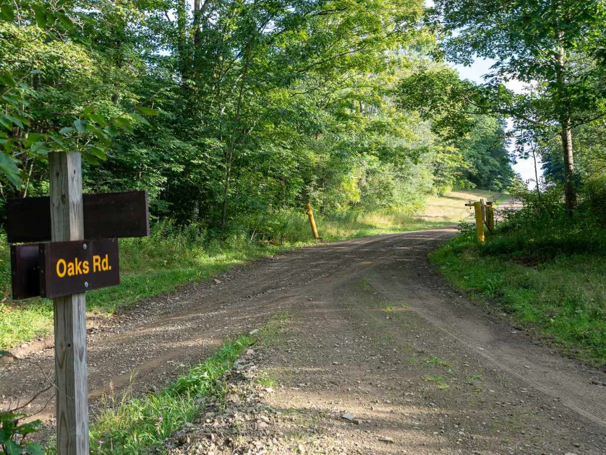 Oaks Road trail photo