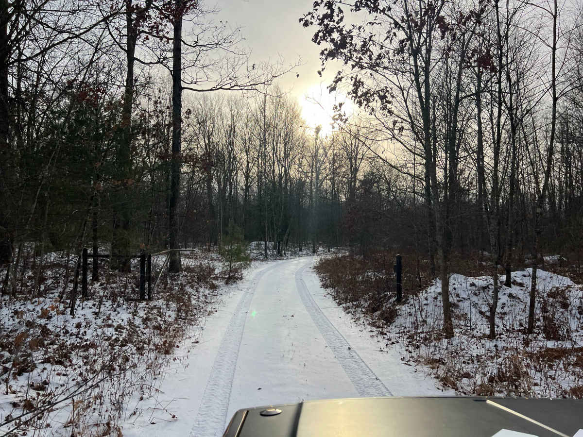 Dehaas Line Trail photo 2