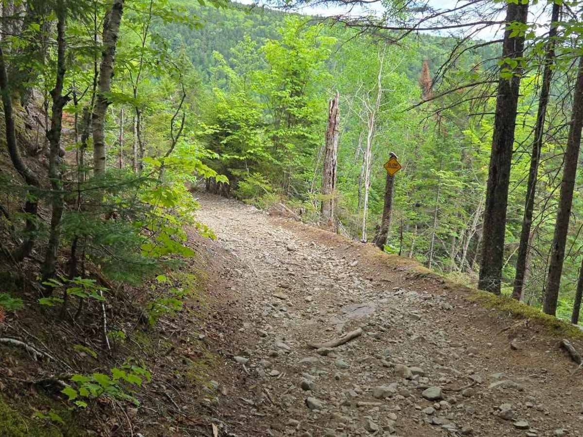 Crooked Creek Switchbacks photo 2