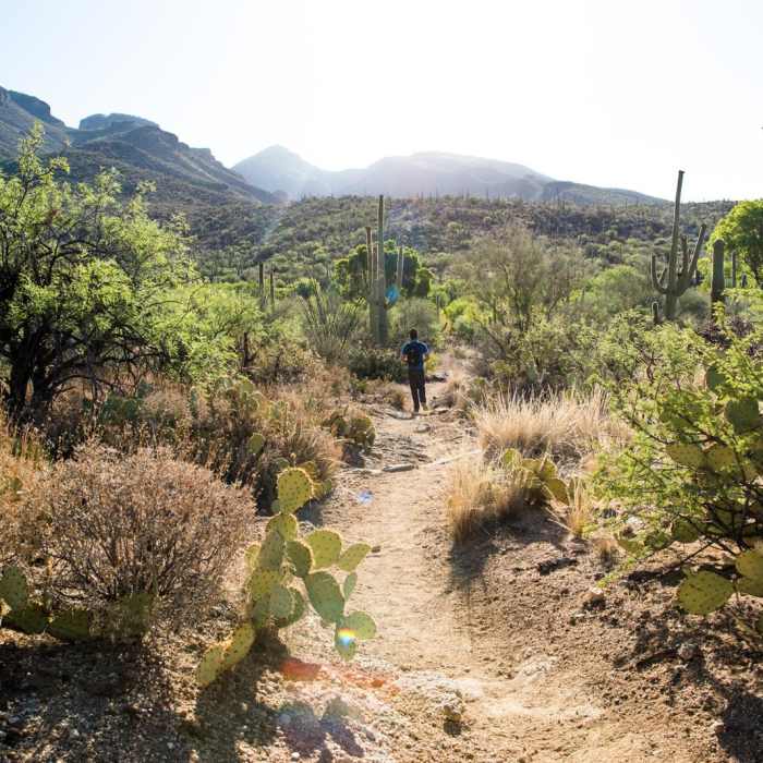 Near Bear Canyon to Seven Falls Trail