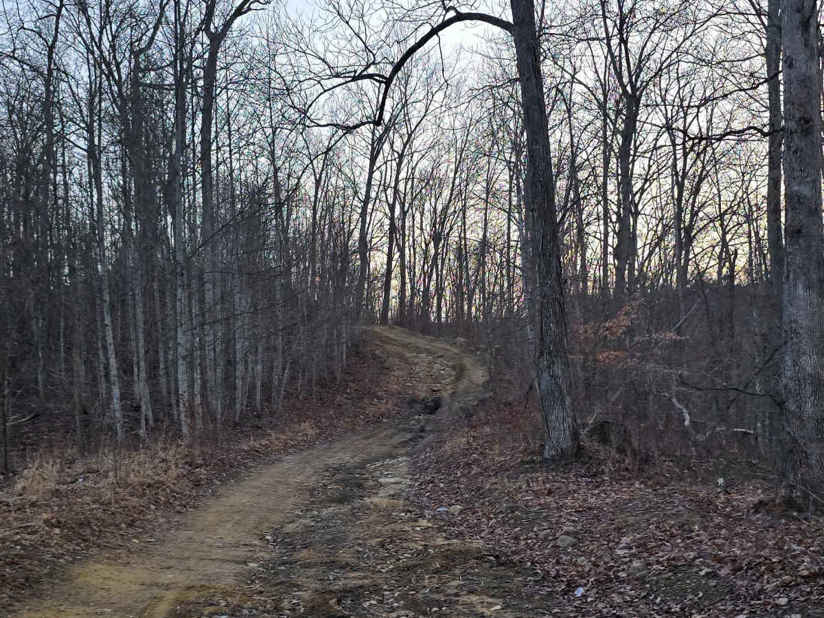 Buffalo Mountain photo 2