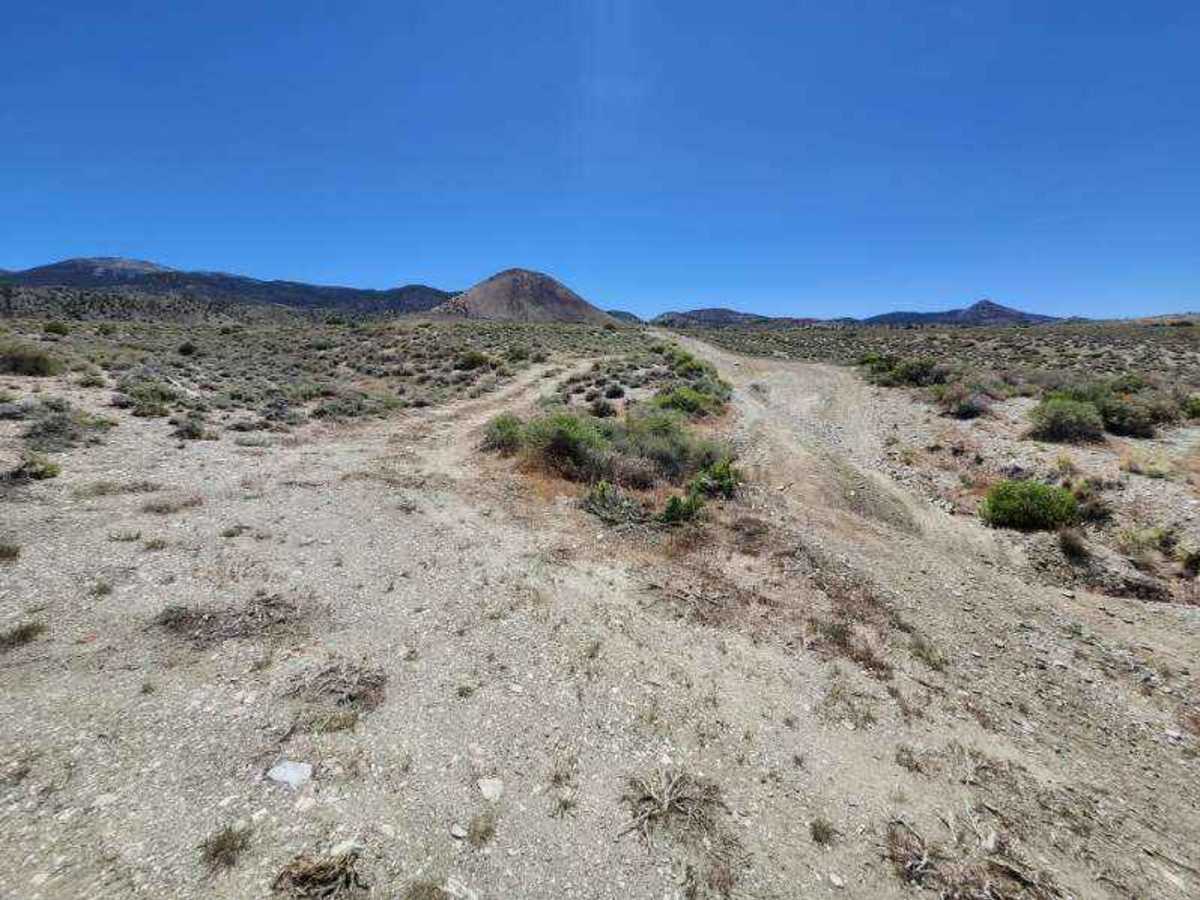 Pine Grove Summit photo 3