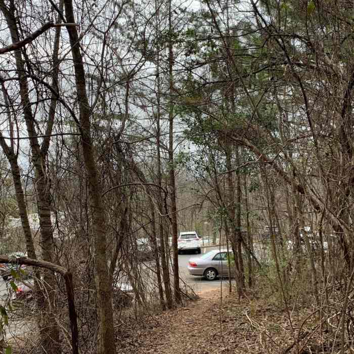 End of Trillium Trail- ends at the parking lot Near Marian Harnach Nature Trail