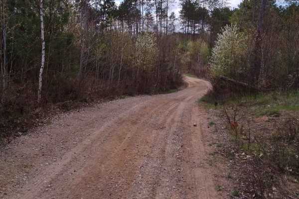 Wildwood Trail/Partridge Trail
