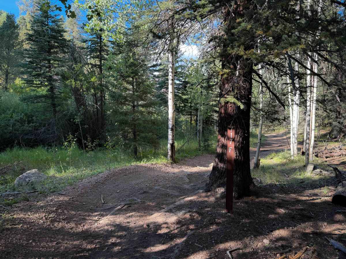 Broken Swing Arm Trail - FS 717F  photo 5