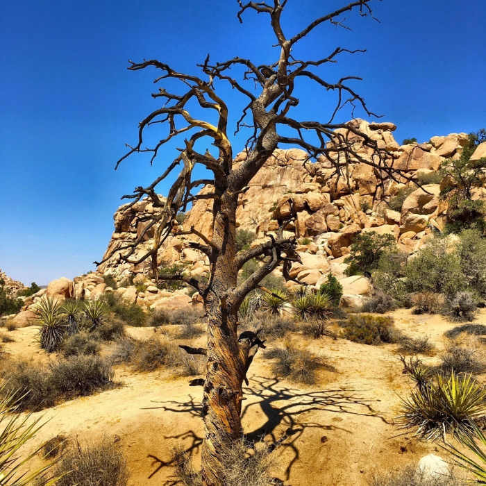Near Hidden Valley Nature Trail