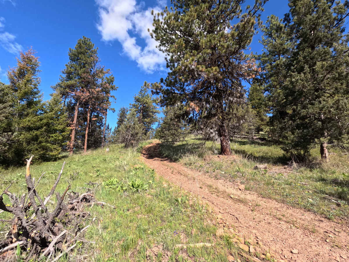 Trail 44 photo 5