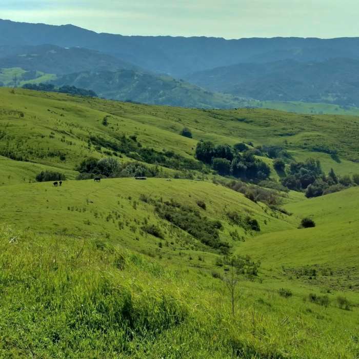 Looking south from Coyote Peak in the Santa Teresa Hills, the Santa Cruz Mountains stand in the distance. Near Coyote Peak Trail