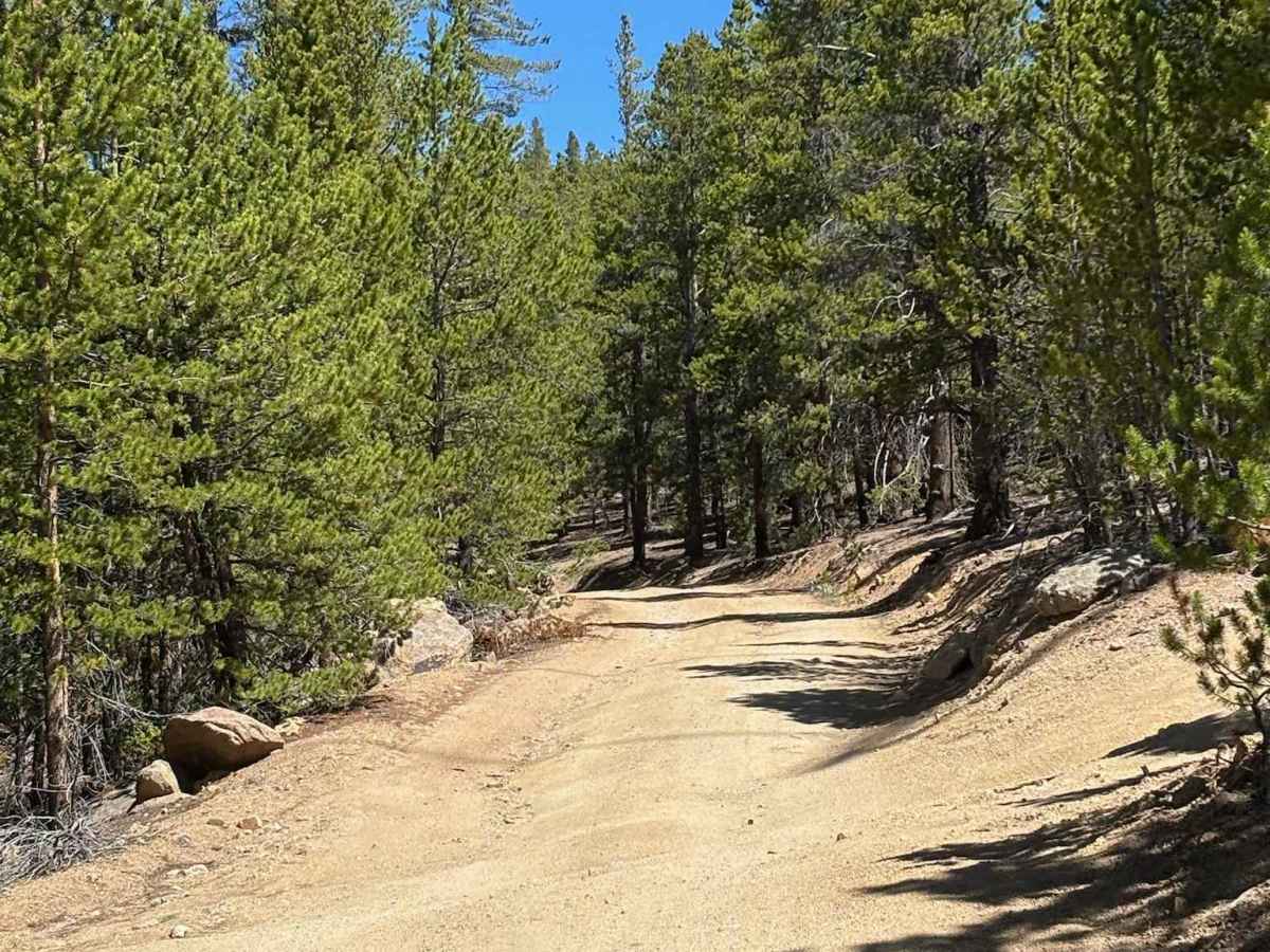 Bear Lake Road photo 6