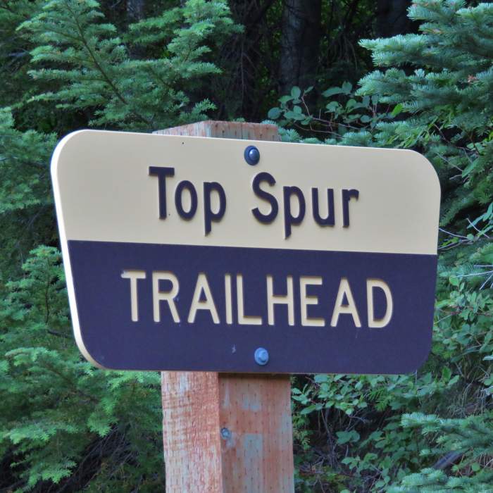 Near Top Spur Trail #785