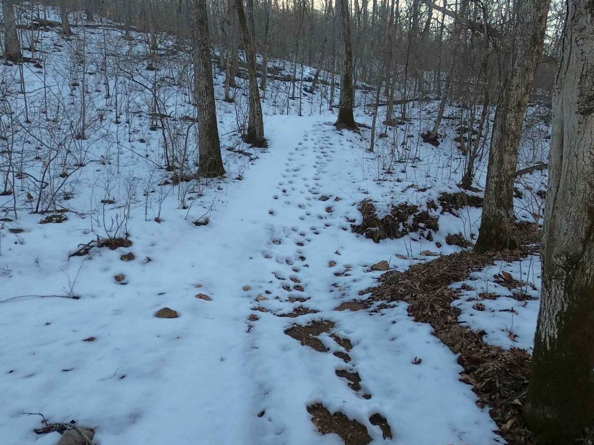 Sutton Bluff ATV 3 - SB 3 photo 2