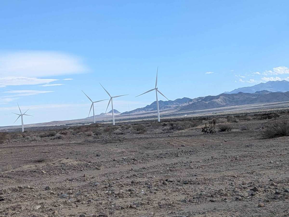 BLM 115 photo 5