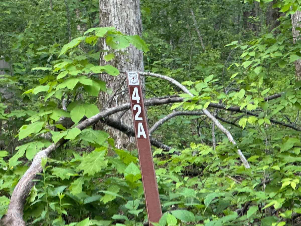 Hawk Mountain - FS 42A trail photo
