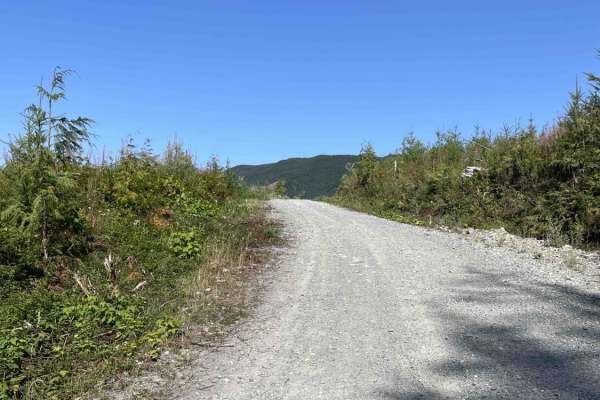 Hwy 19 to Bonanza Lake Rec Site
