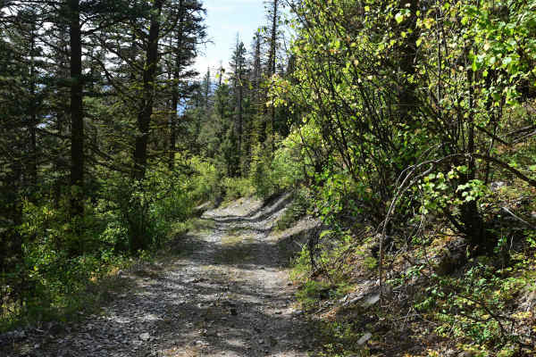 Blackfoot Mine Loop