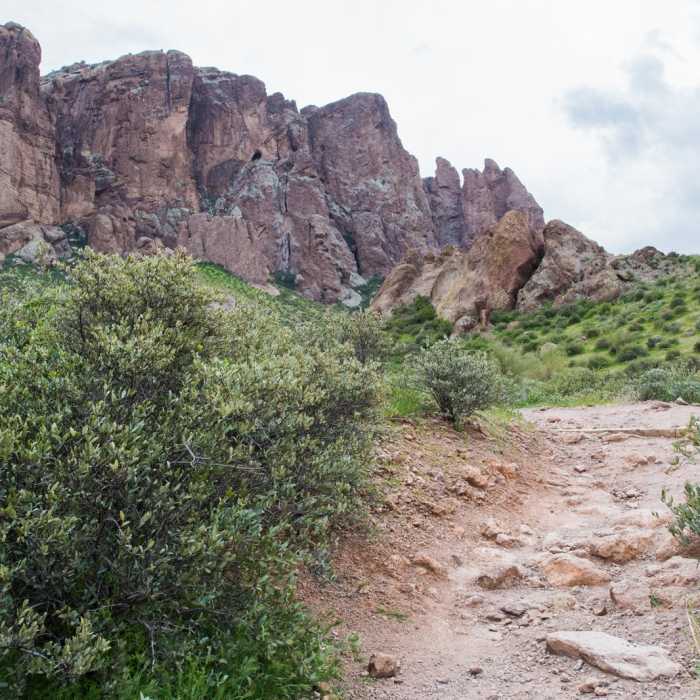 Near Treasure Loop Trail