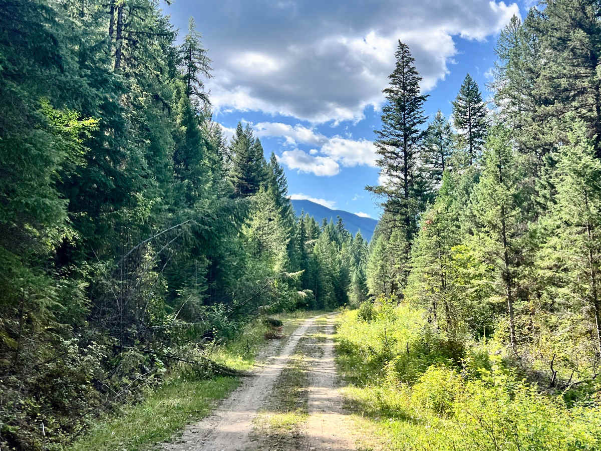 Gold Creek trail photo
