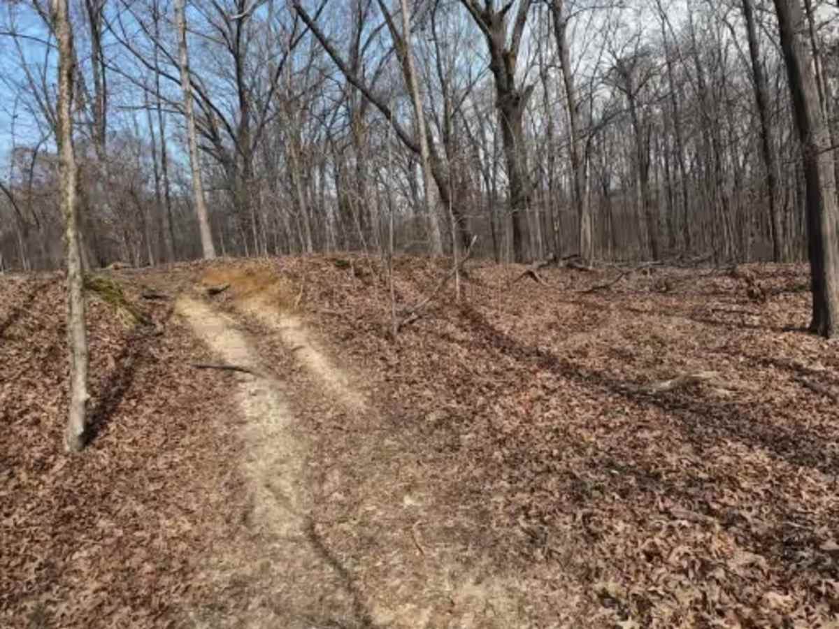 Wolf Creek Trail photo 2
