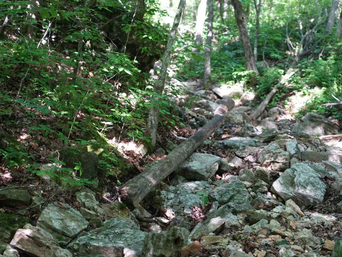 Will Power Hill trail photo